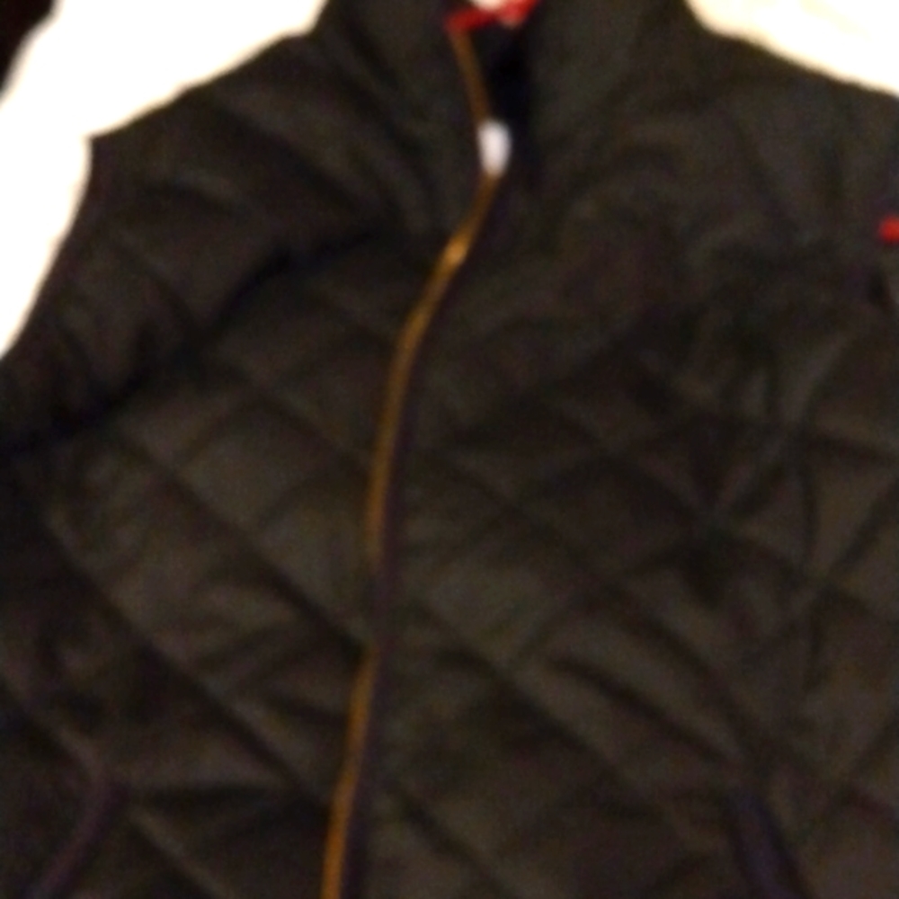 Vest